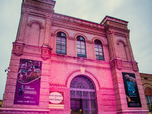 Iluminación Museo ciencias naturales – Madrid