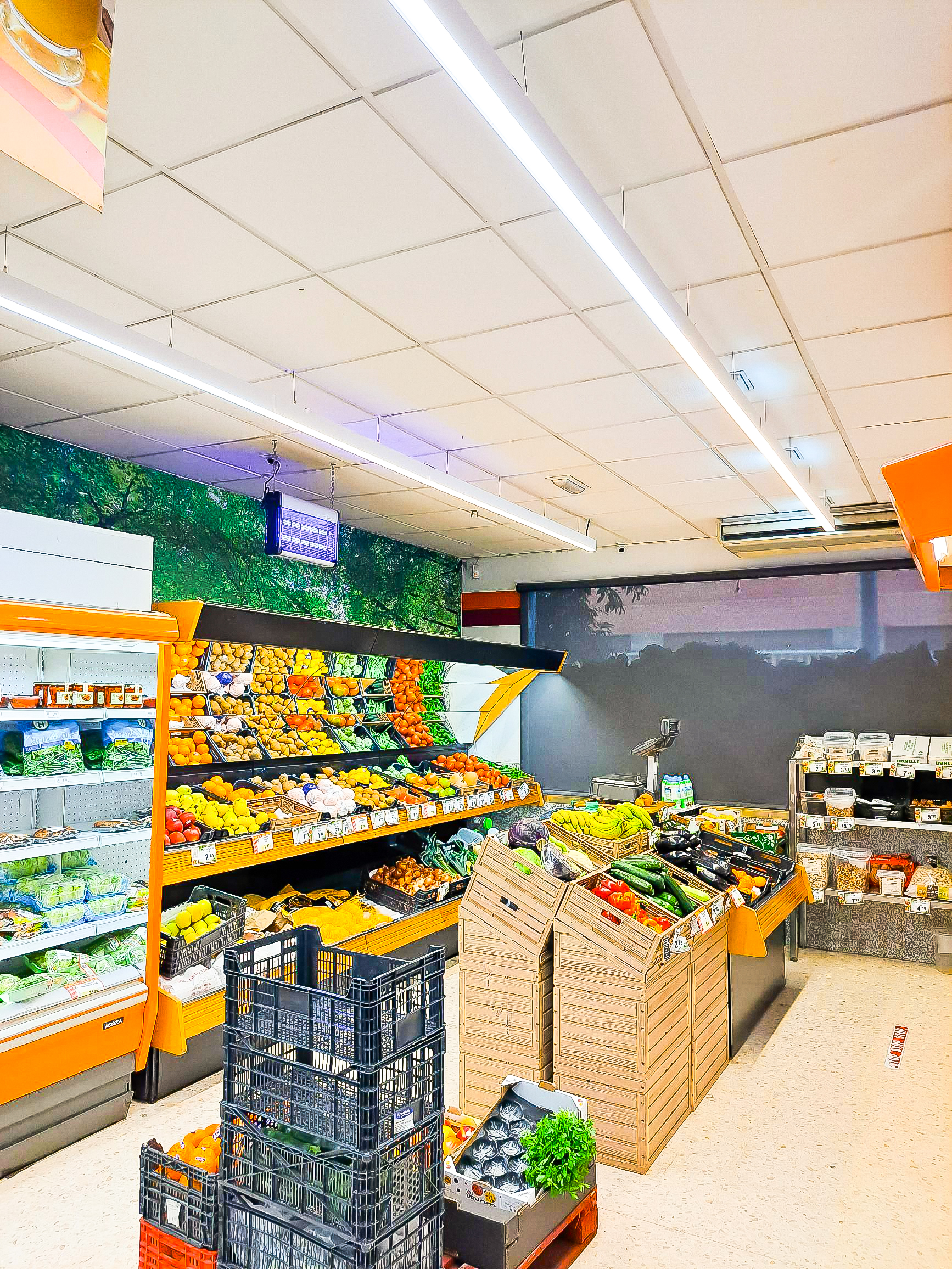 SUPERMERCADO ALCOOP CÓRDOBA